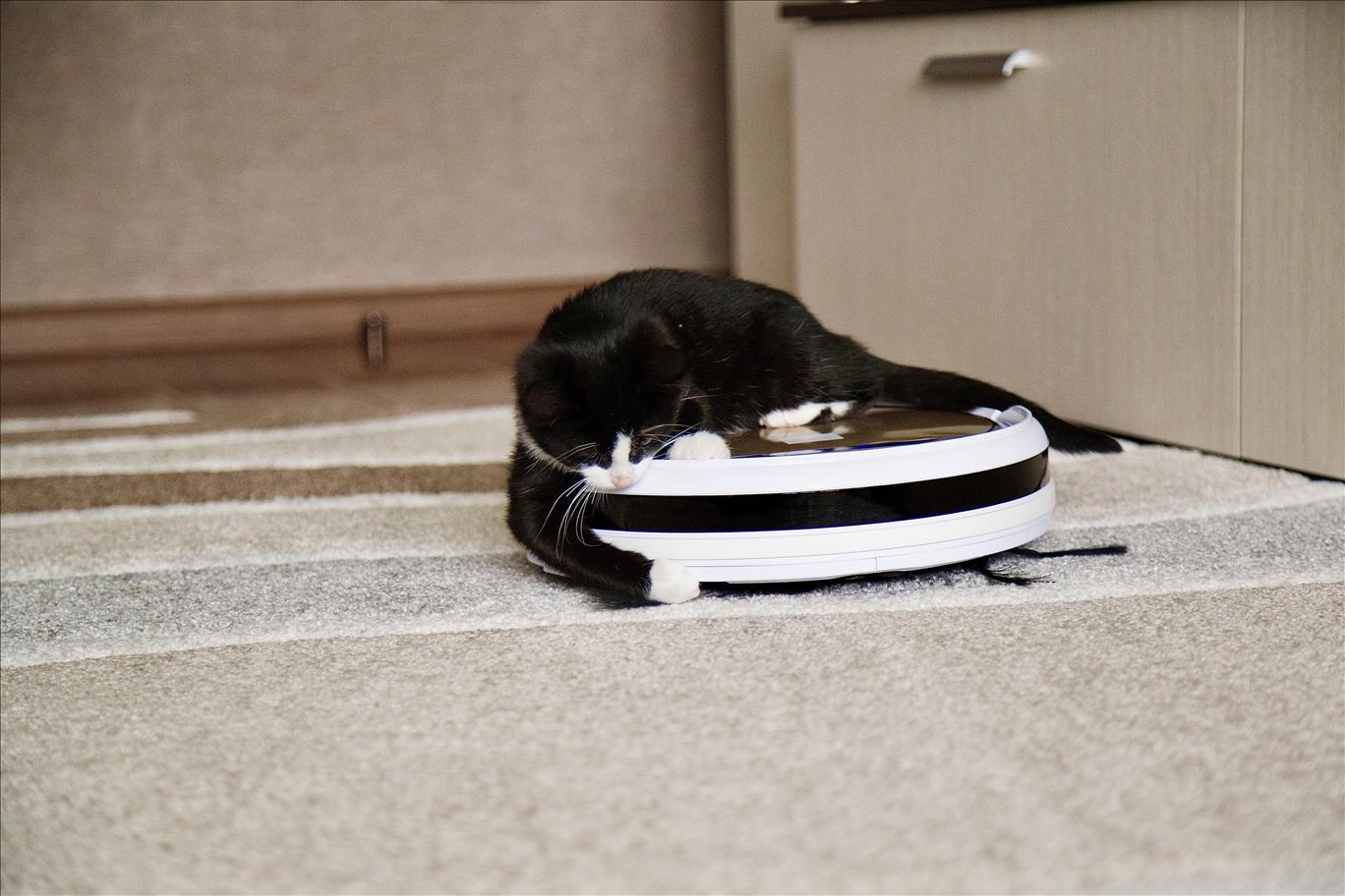 Irobot's Roomba Will Soon Be Owned By Amazon, Which Raises Privacy Questions