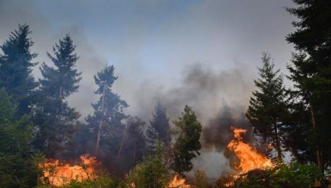 Wildfires Spread In Mountains Of SE France