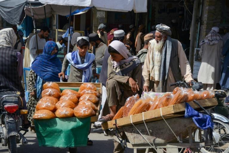 Economists urge US to return Afghanistan's frozen assets