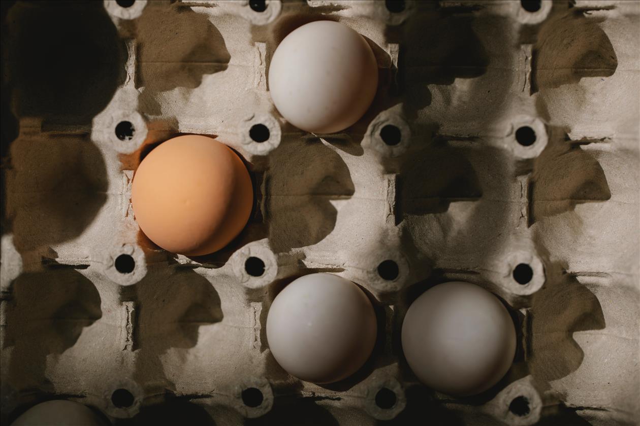 What's Causing Australia's Egg Shortage? A Shift To Free-Range And Short Winter Days
