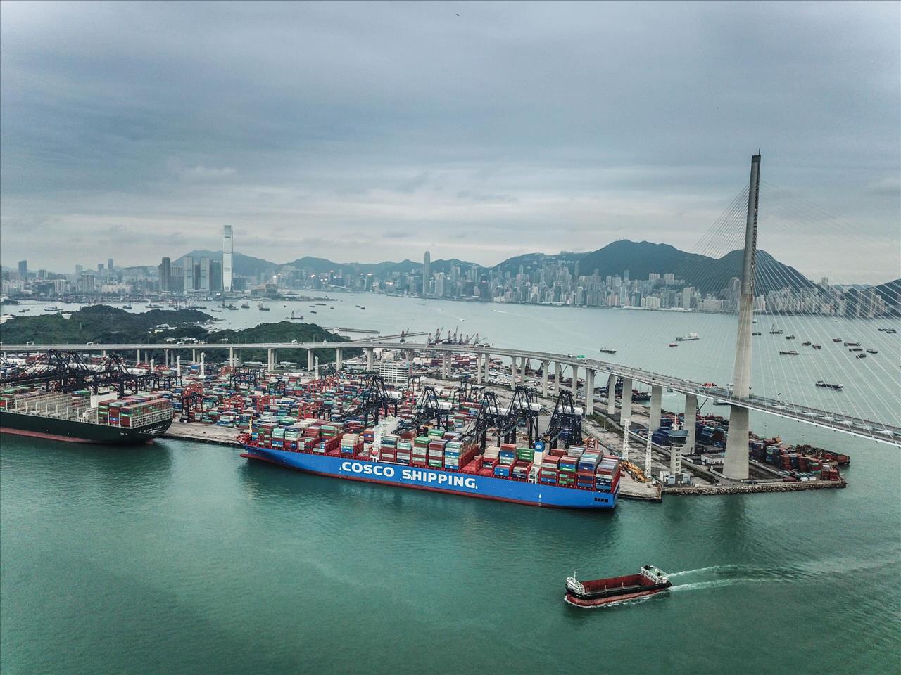 Chasing A Booming East Asian Art Market, Shipping Company Crozier Expands In Hong Kong
