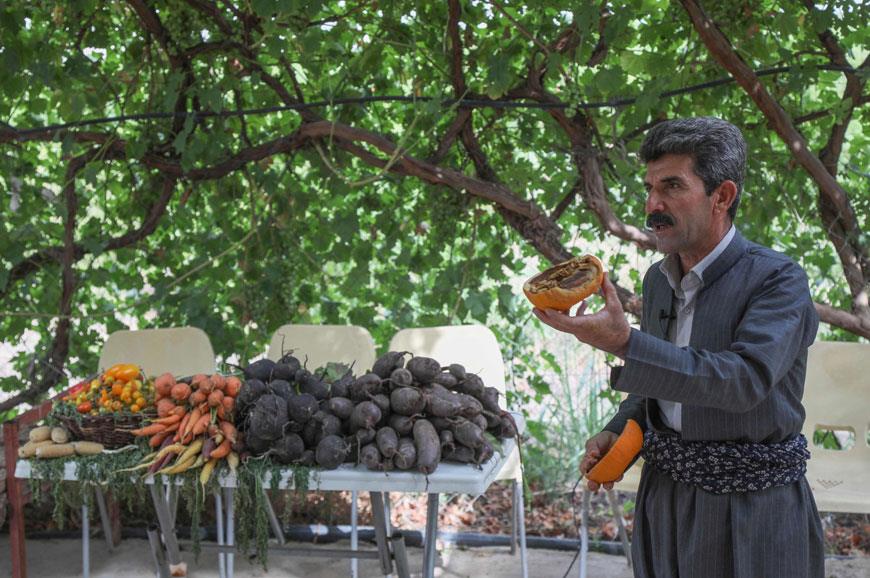 Kurdish Iraqi Farmer Sprouts Online Advice, Green Awareness