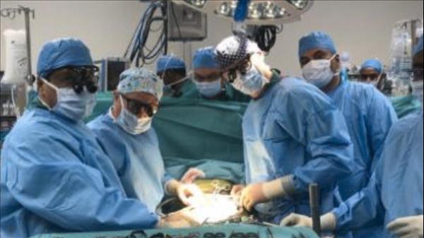UAE Takes Practical Steps To Regulate Organ Donation, Transplantation