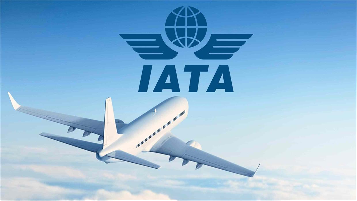 IATA Announces Online Platform To Help Identify Security Risks