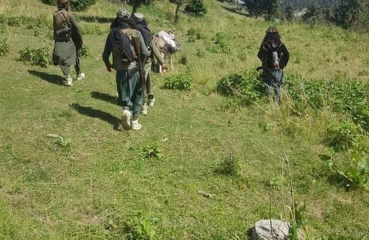 TTP Militants Retreating From Swat's Mountains