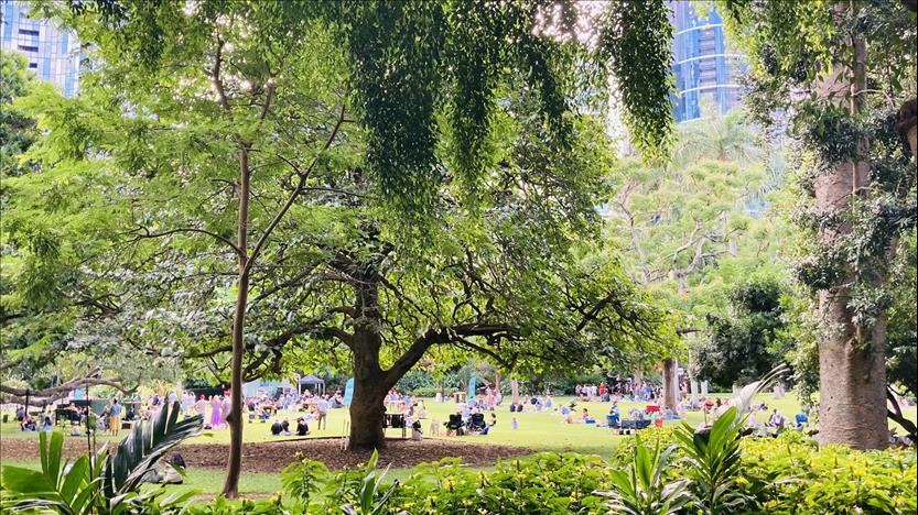 1 In 4 Australians Is Lonely. Quality Green Spaces In Our Cities Offer A Solution
