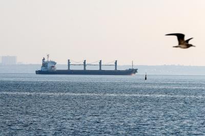  Three More Ships Leave Ukraine Under Grain Deal 