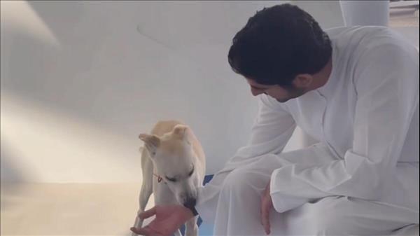 UAE: 7 Times Royalty Stepped In To Save, Protect Distressed Animals