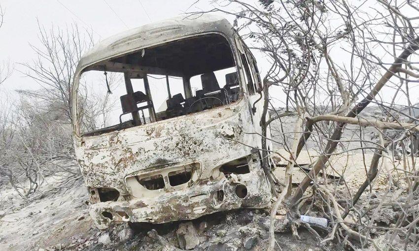 حرائق غابات مدمرة تقتل 38 شخصا في الجزائر