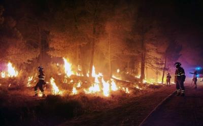  EU Experiencing Worst Forest Fires Since Records Began In 200D 