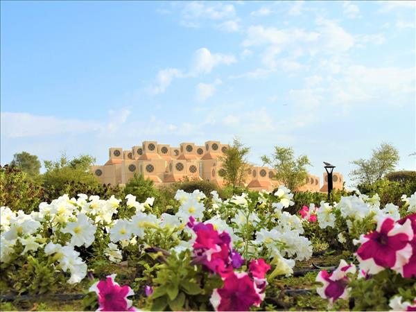 Qatar University Ranks Among Top Best 600 Universities Globally