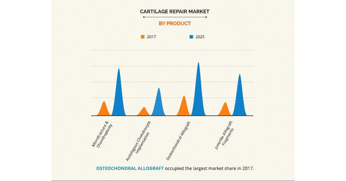 Cartilage Repair Market Rising Up Gradually - Emerging Business Growth And Future Opportunity