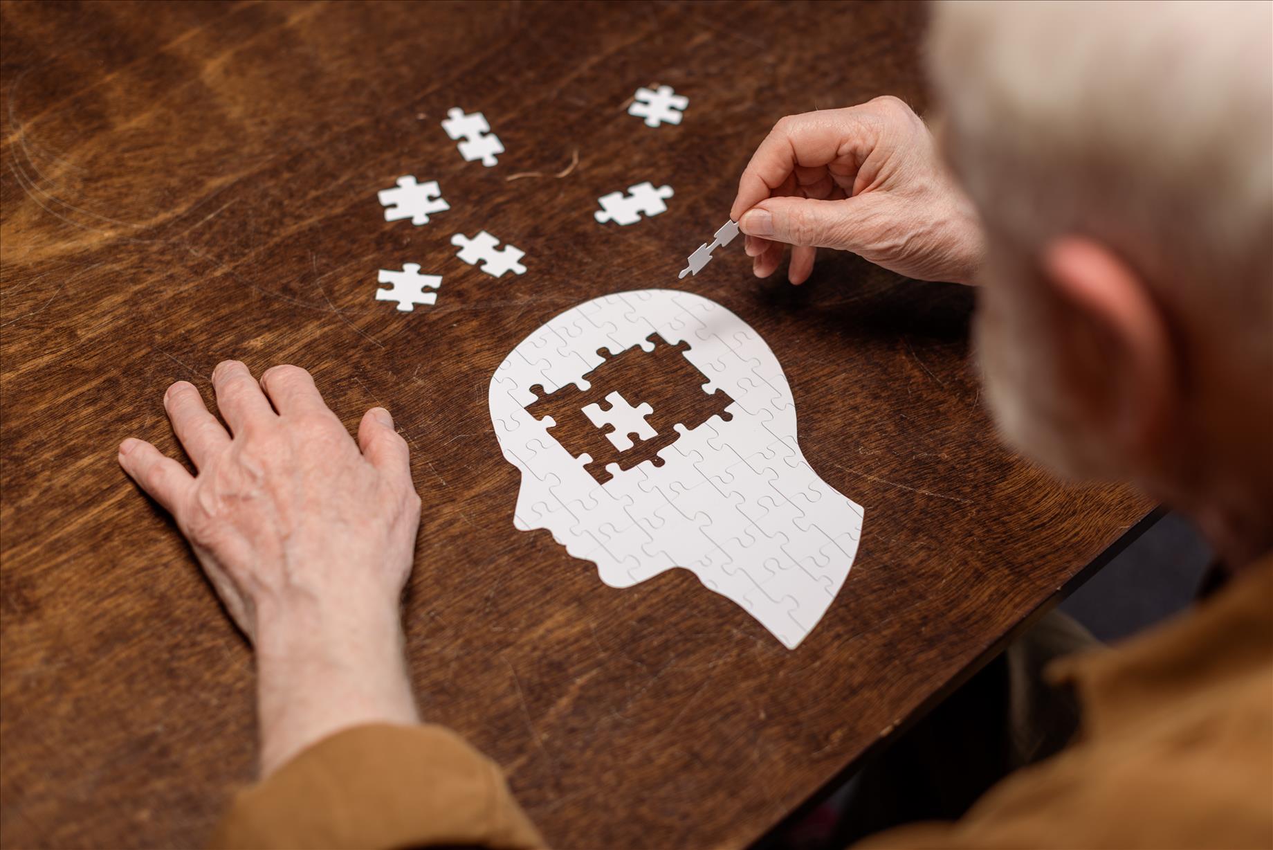 Alzheimer's Theory Undermined By Accusations Of Manipulated Data  But Does Not Bring Dementia Research To Its Knees