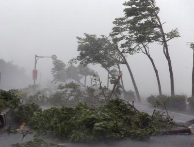  Taiwan Lifts Typhoon Hinnamnor Warning, No Casualties Reported 