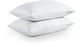 Feather Pillow Market Growth | Business Advancements And Statistics By 2031