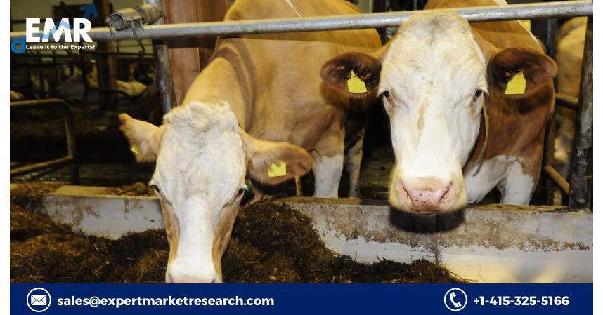 Global Probiotics In Animal Feed Market, Size, Share, Key, Players, Demand, Growth, Analysis, Research, Report