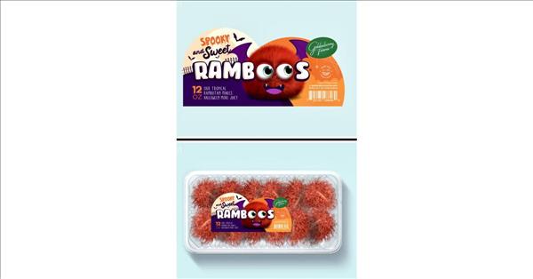RAMBOOS® Go Scary And Sweet For Halloween