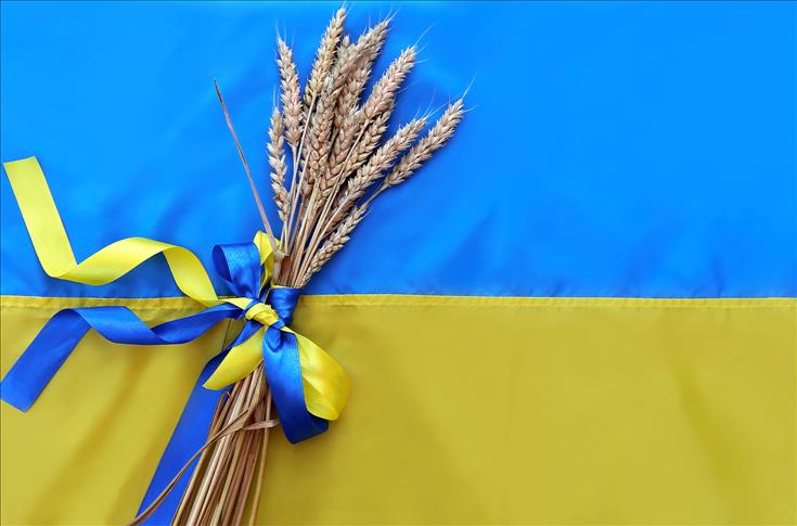Ukraine In War, Donates Grain To Afghanistan