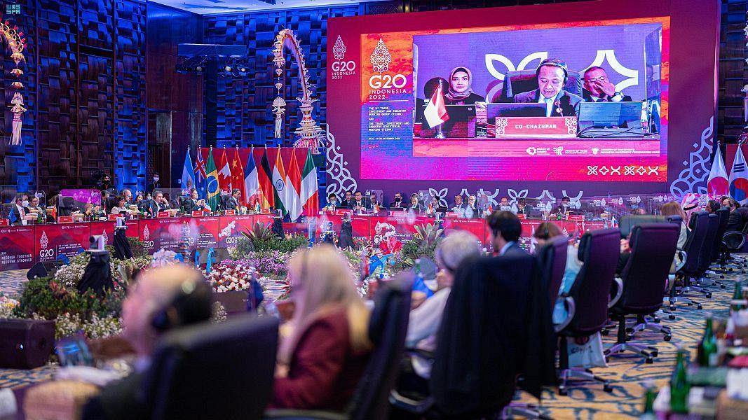 Commerce Minister Participates In Ministerial Meeting Of G20 Trade, Investment, And Industry Working Group