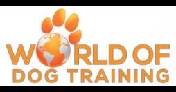 Celebrity Dog Trainer Ryan Matthews To Recruit 10 Individuals For His 'Train The Trainer' Program
