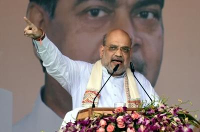  Amit Shah Was Instrumental In Removing Article 370: BJP Leader 