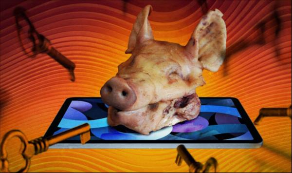 How To Avoid China's 'Pig Butchering' Cyberscams