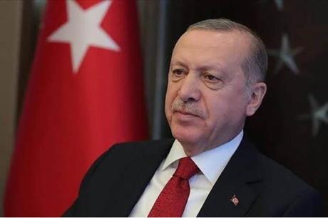 أردوغان يخطط لإجراء مفاوضات مع بوتين وزيلينسكي
