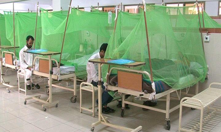 Dengue Cases On The Rise In Khyber Pakhtunkhwa