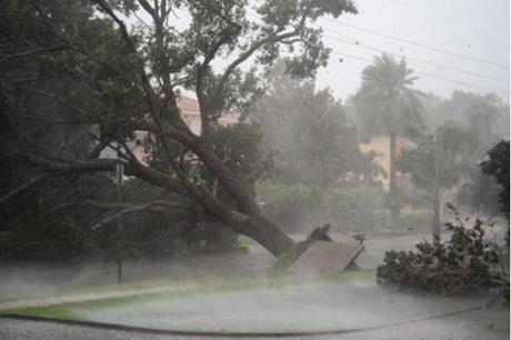 فلوريدا .. إعصار إيان يقطع الكهرباء عن مليون مسكن