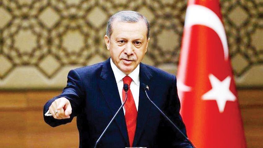 بعد وصفه بفأر صرف صحي.. الرئيس التركي يقاضي سياسيا ألمانيا