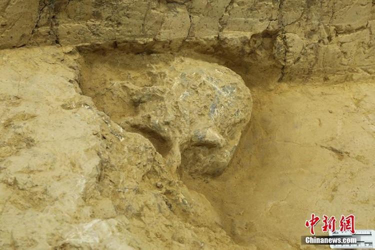 العثور على جمجمة بشرية تعود لما قبل مليون سنة