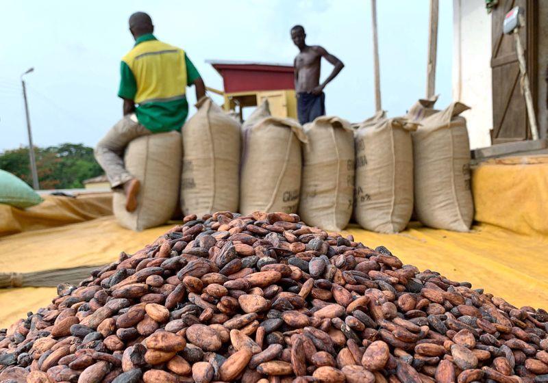 Ghana Raises Cocoa Farmgate Price By 21% For 2022/23 Season