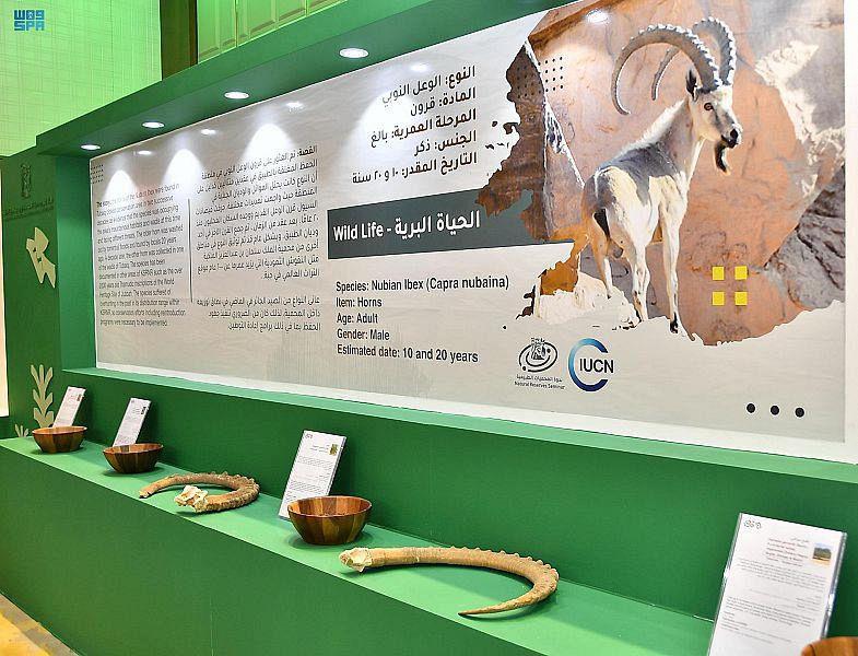 King Salman Reserve Organizes Nature Reserves Seminar Riyadh
