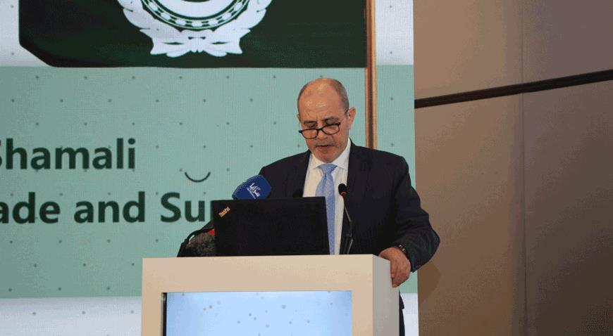 Deputising For King, Shamali Inaugurates 25Th Arab International Cement Conference