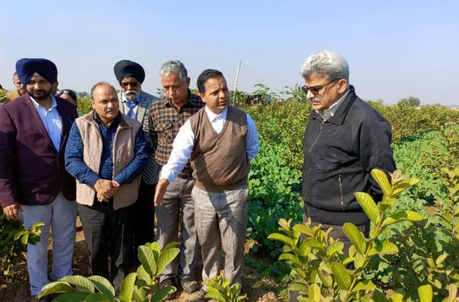 Dulloo Urges Farmers To Adopt Diversification Of Crops