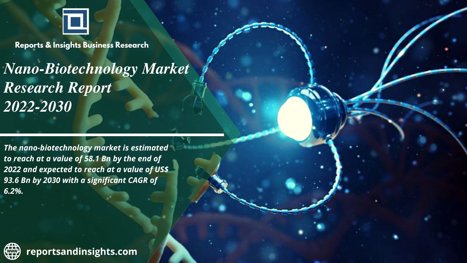 Nano-Biotechnology Market Share, Top Manufacturers, Development Status And Forecasts 2022-2030|