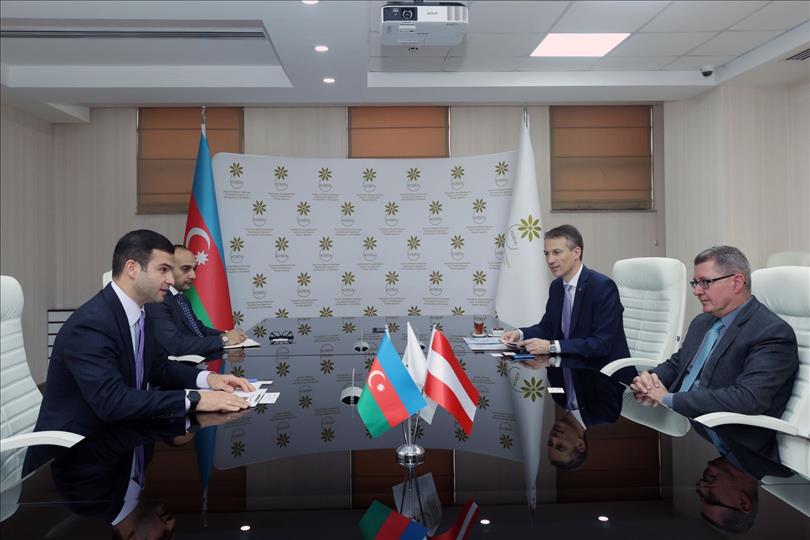 Baku, Vienna Discuss Smbs Coordination, Investment Promotion