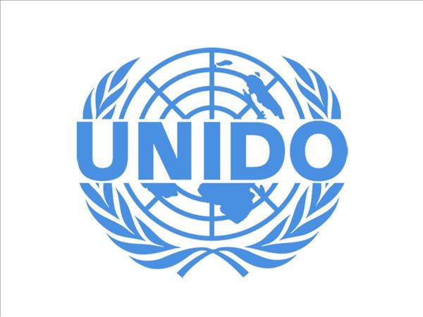UNIDO Talks Priorities Under New Co-Op Framework With Azerbaijan