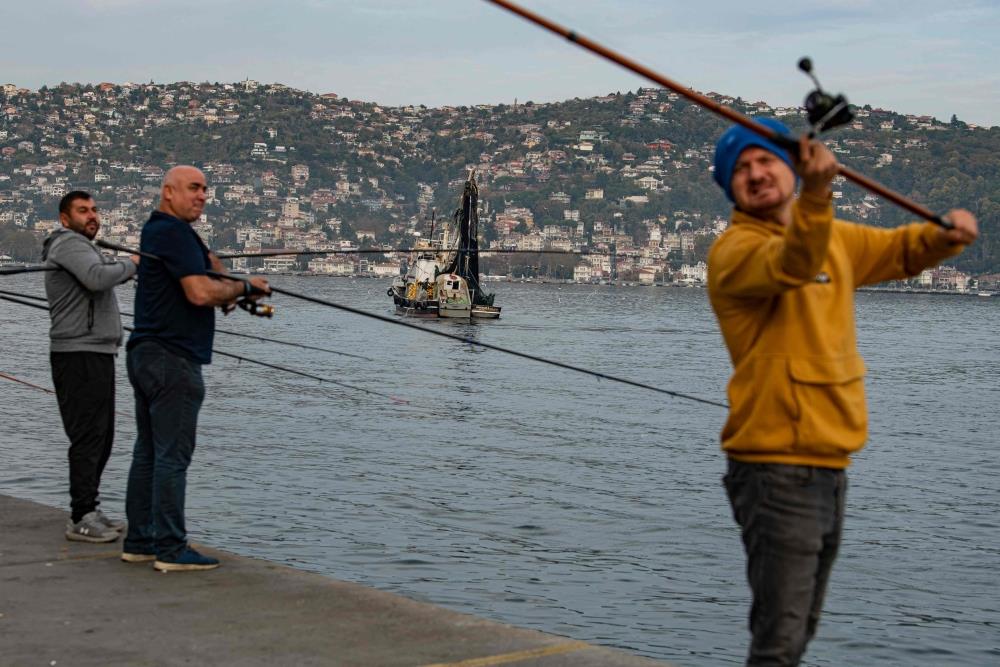 'Where Are The Mackerel?' Alarm As Bosphorus Fish Stocks Crash