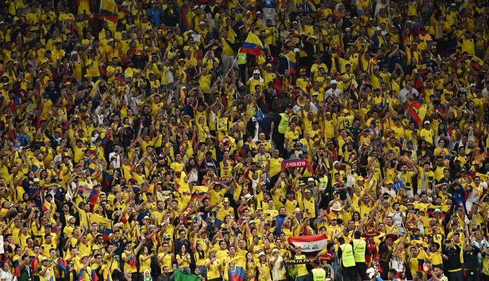 Ecuador Federation Asks Fans To Avoid Offensive Chants