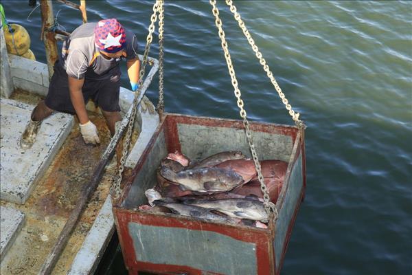Panama Gets US Aid To Avoid Red Card In Illegal Fishing Fight