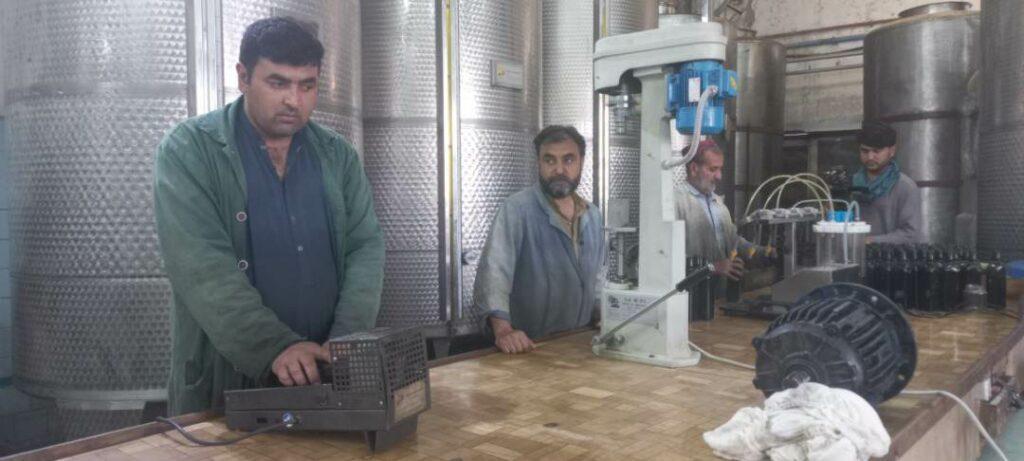 Nangarhar Olive Processing Factory Machinery Outdated