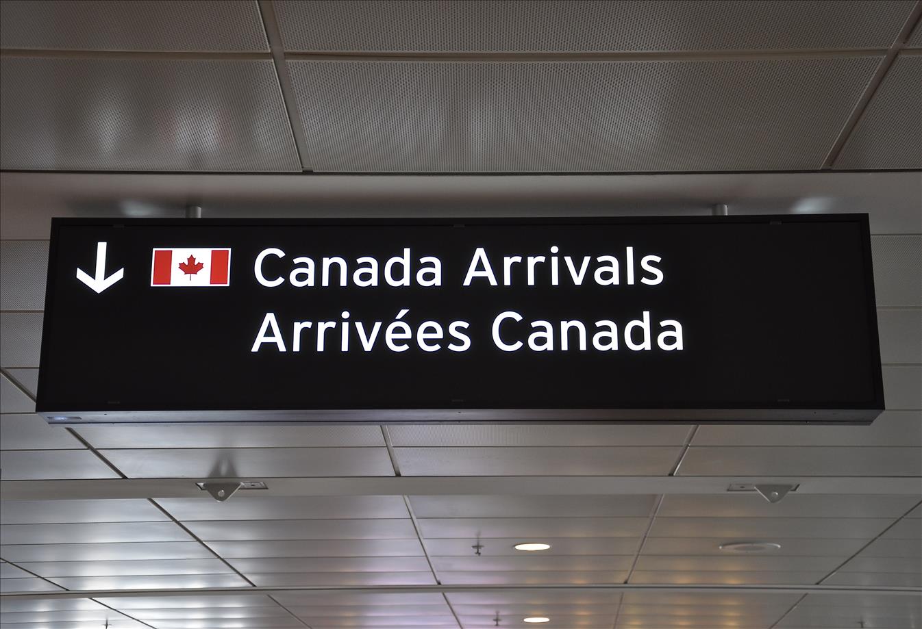 The Pandemic Created Challenges And Opportunities For Canadian Immigration