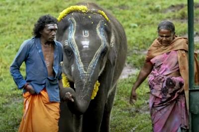 'The Elephant Whisperers' Trailer Depicts Bond Between An Indigenous Couple And A Tusker