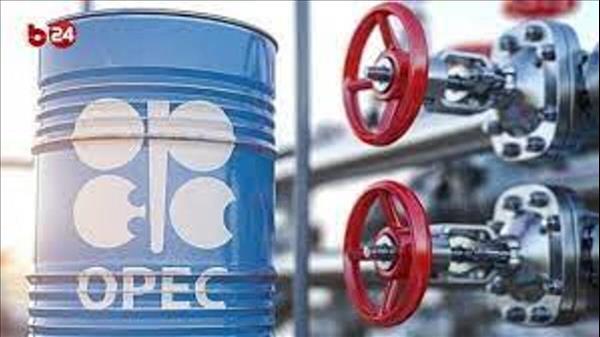 Opec Oil Output Drops In November After Cut Pledged