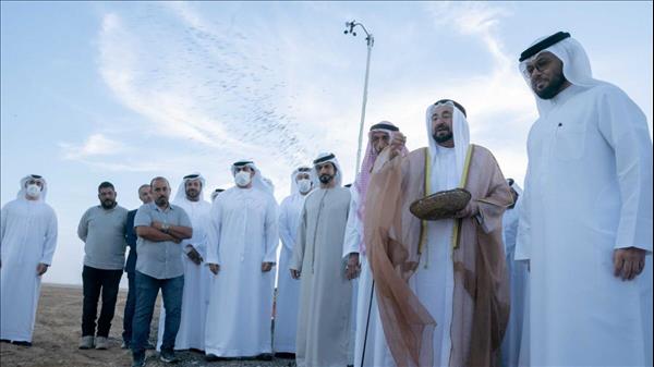Watch: Sharjah Ruler Sows Seeds At Massive Wheat Farm Launched In Mleiha