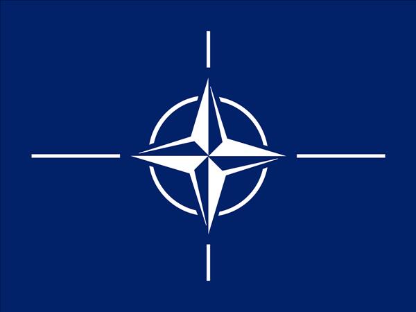 Azerbaijani Armed Forces Show Professionalism, Commitment - NATO
