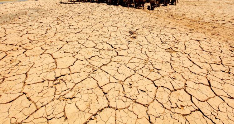 تغير المناخ يفاقم التحديات في الأردن
