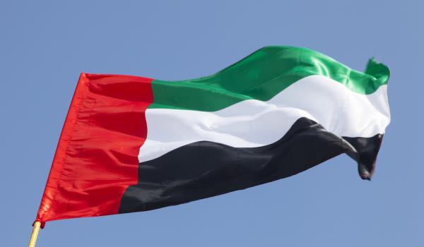 الإمارات ترسل 85 طنا من المساعدات الطبية إلى غزة