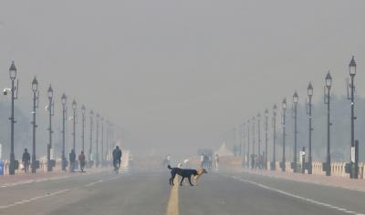  Delhi's Air Continues To Be 'Very Poor' 